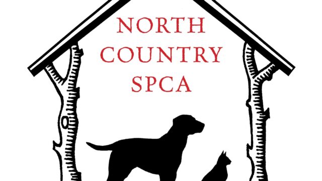 NCSPCA